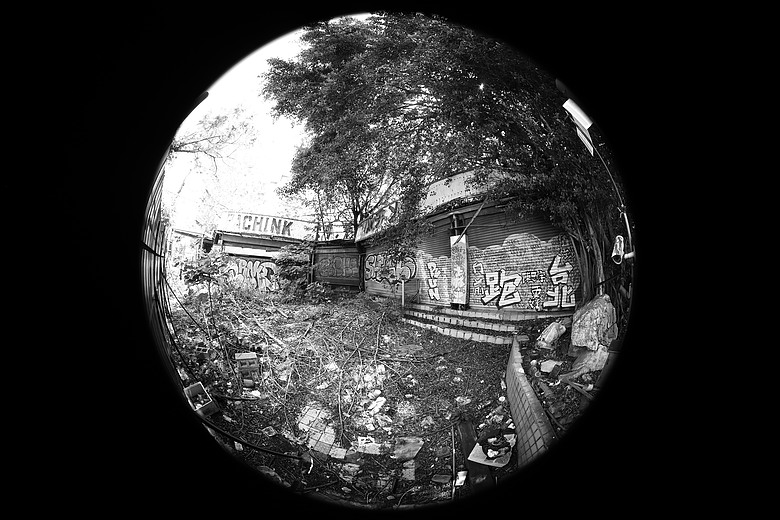 Canon RF 7-14mm F2.8-3.5L Fisheye STM 評測報告｜當圓周遇上對角線、探索 190° 的極限視覺張力！