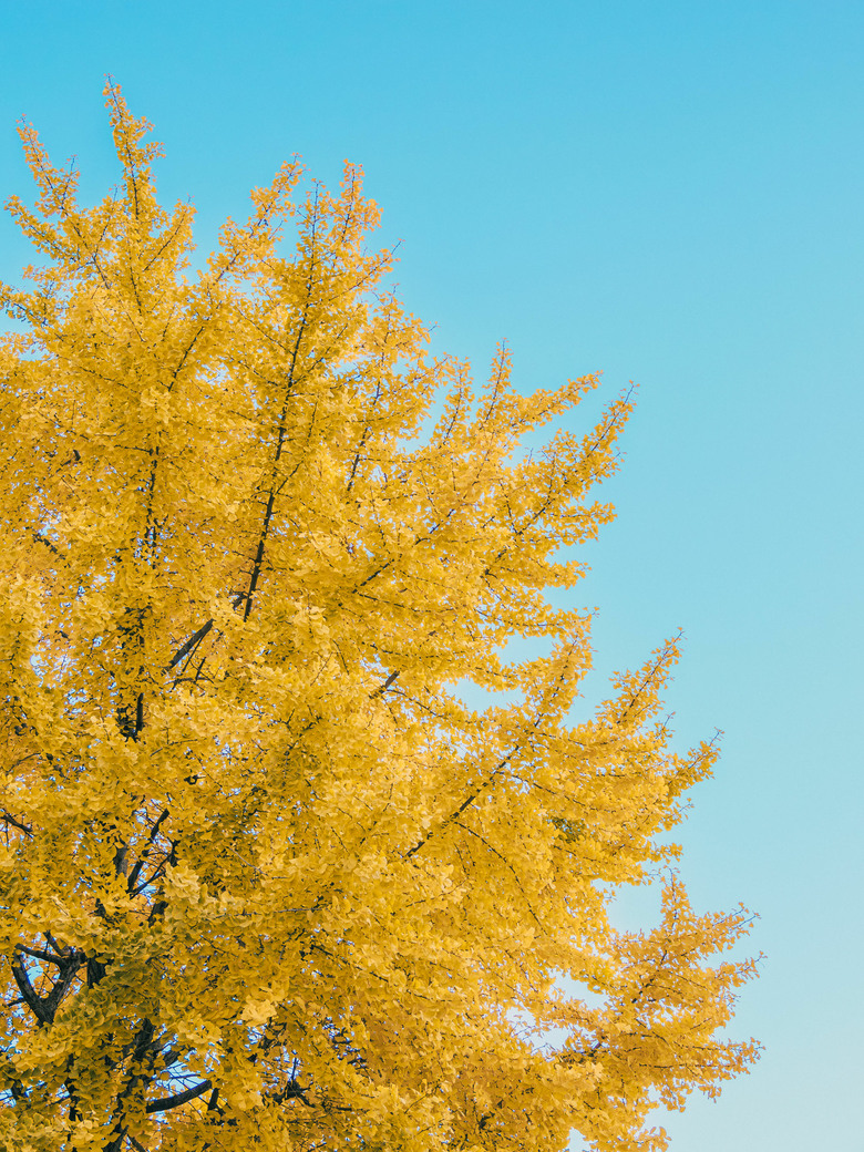 九州之旅 上 OM3+12-100 F4