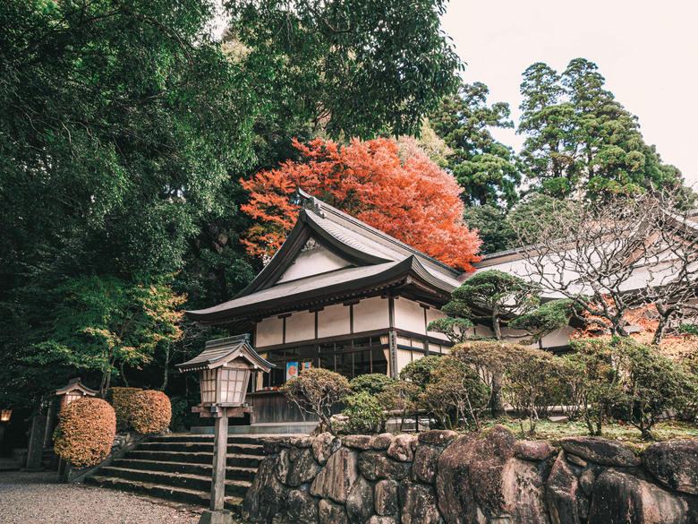 九州之旅 下 OM3+12-100 F4