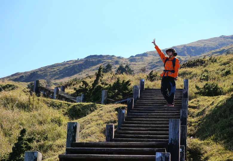 【合歡山東峰】絕美的登山步道與高山杜鵑花