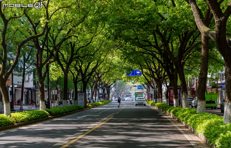 晨曦漫游姑蘇 5D3 +24-70mm F4