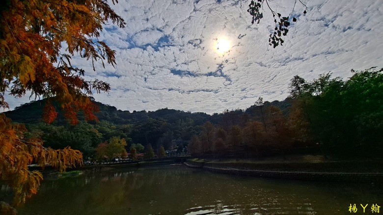 【郊山走走】輕鬆健行內湖7連峰、再賞大湖公園落羽松