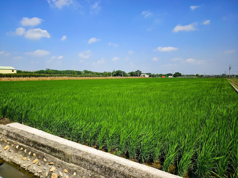 田中太保|大林→嘉油→保鹿 Bike way|騎小布縱貫線漫遊四縣市
