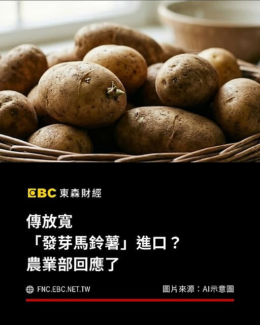 發芽馬鈴薯....邊境抽驗率維持2%打臉卓揆？ ❤️衛福部長：馬鈴薯發芽與毒性非絕對相關