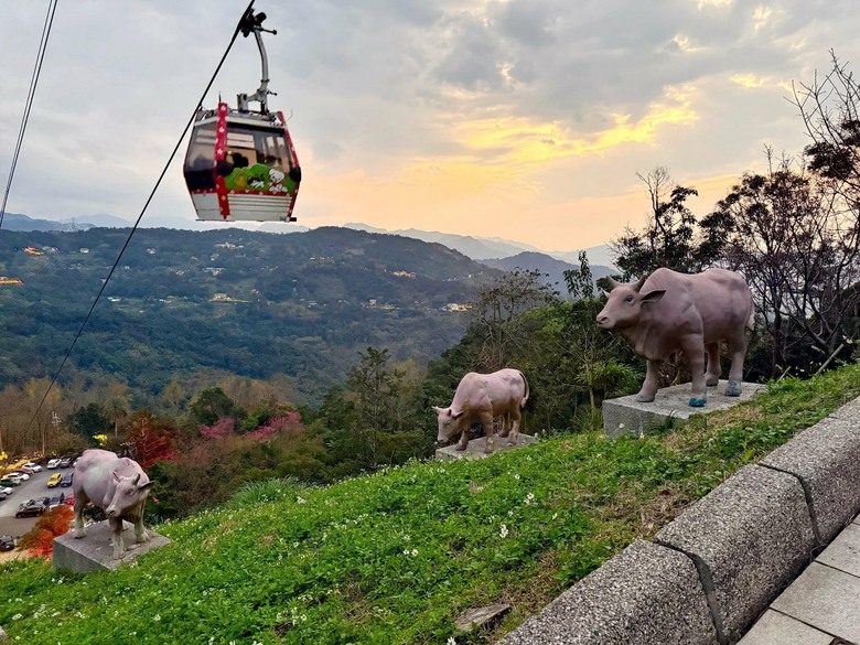貓空之旅|在指南宮遇見櫻花與夜景的療癒時光