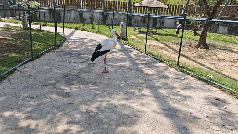 （號稱）亞洲最大鳥類動物園 - 九九峰動物樂園一日遊記 -