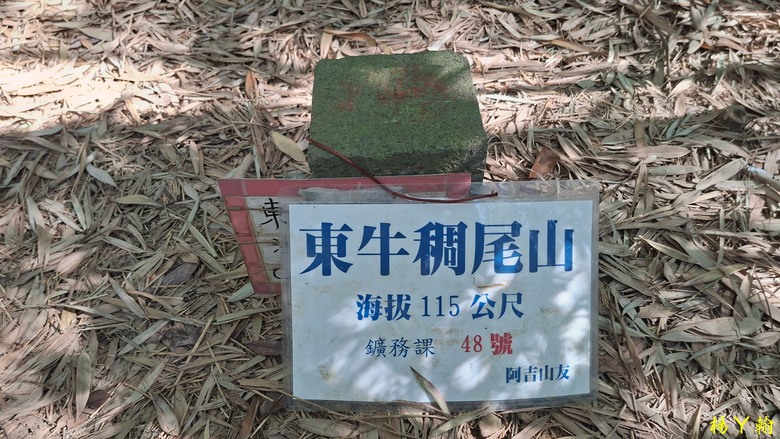 【郊山走走】輕鬆健行內湖7連峰、再賞大湖公園落羽松