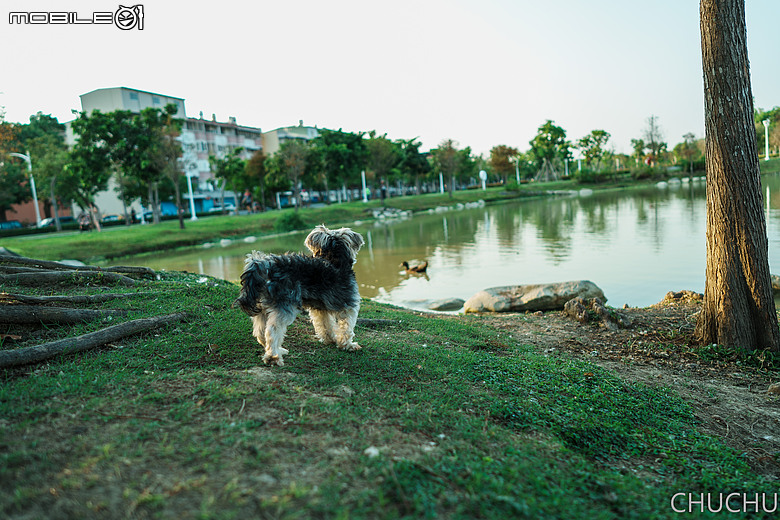 Sony A7C2 與 ZEISS Batis 2/25 的全家出遊記