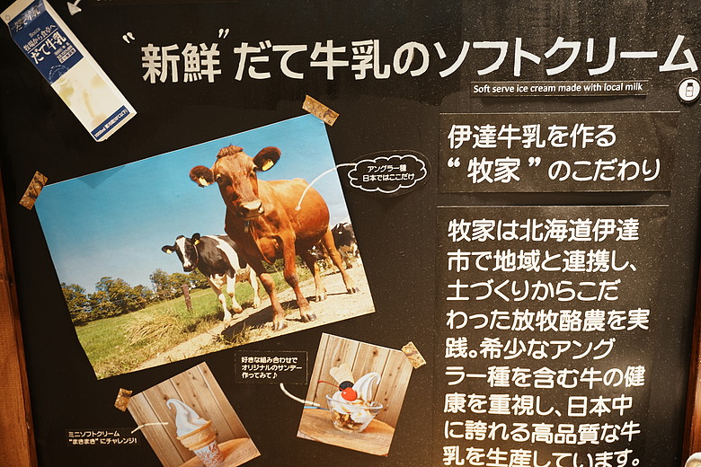2026 北海道12天小蜜月 (下)『白老町隱藏景點、洞爺湖奢華湖景飯店 & 函館百萬夜景』