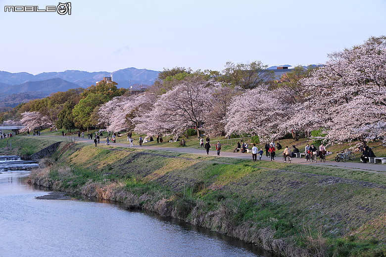 大阪廣島七日遊 R63領銜演出