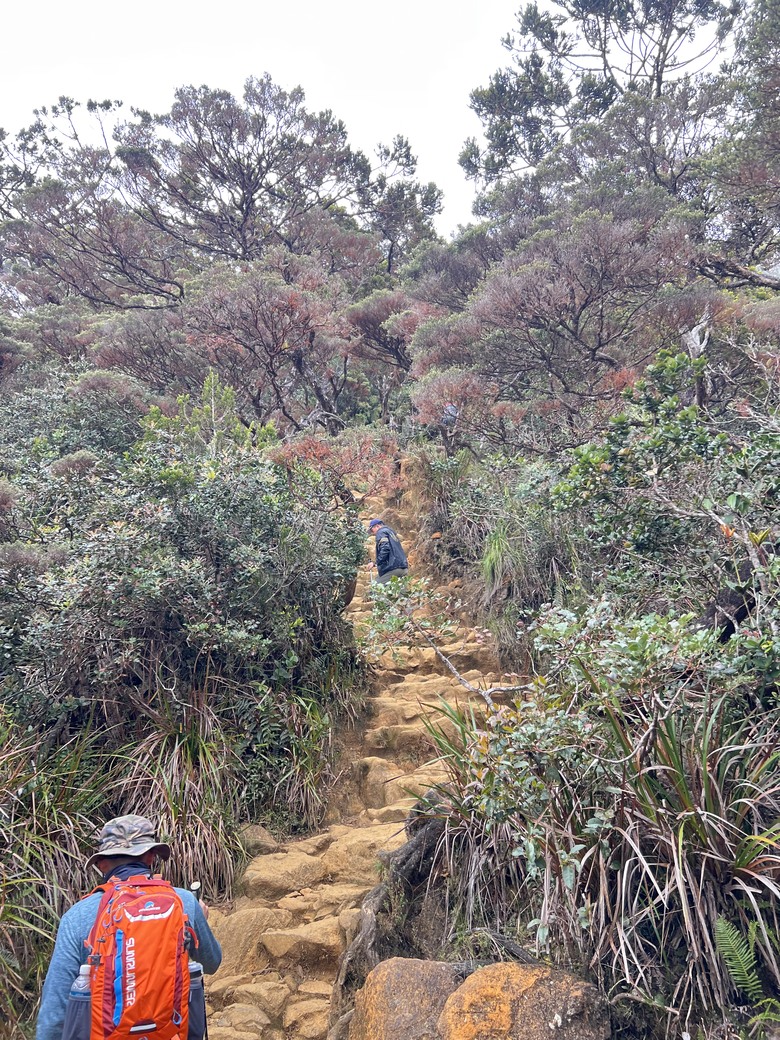 一神, 二玉, 三富士山~ 1,2,3準備出國去爬山 ! 3,2,1 自我挑戰好得意 !