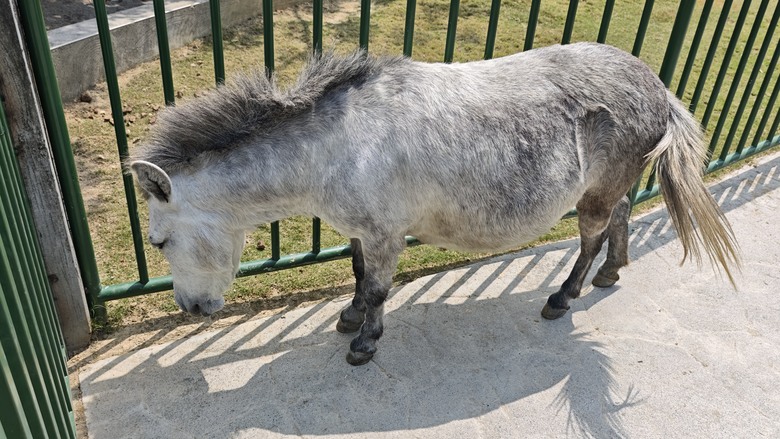 （號稱）亞洲最大鳥類動物園 - 九九峰動物樂園一日遊記 -