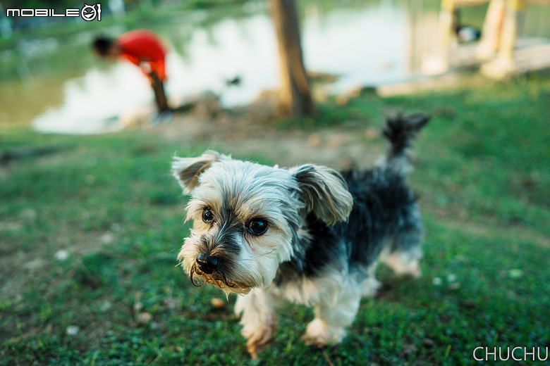 Sony A7C2 與 ZEISS Batis 2/25 的全家出遊記