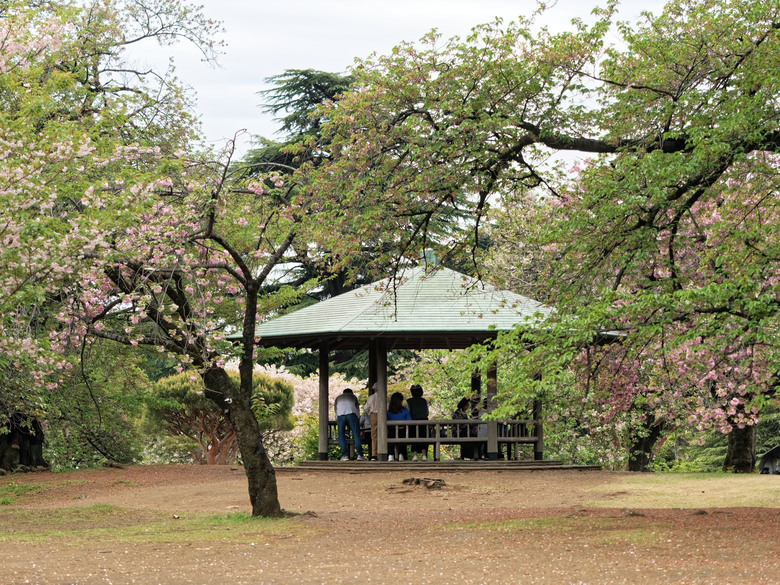 日本東北賞櫻六日遊(omsystem OM3+OM1II)