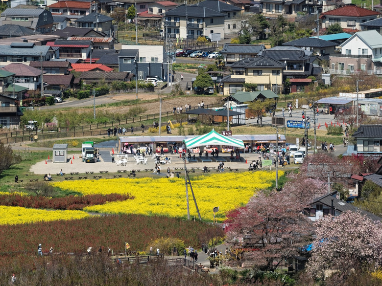 日本東北賞櫻六日遊(omsystem OM3+OM1II)