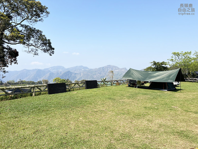 櫻花 茶園 群山環繞的露營地，中海拔1200公尺 阿里山附近