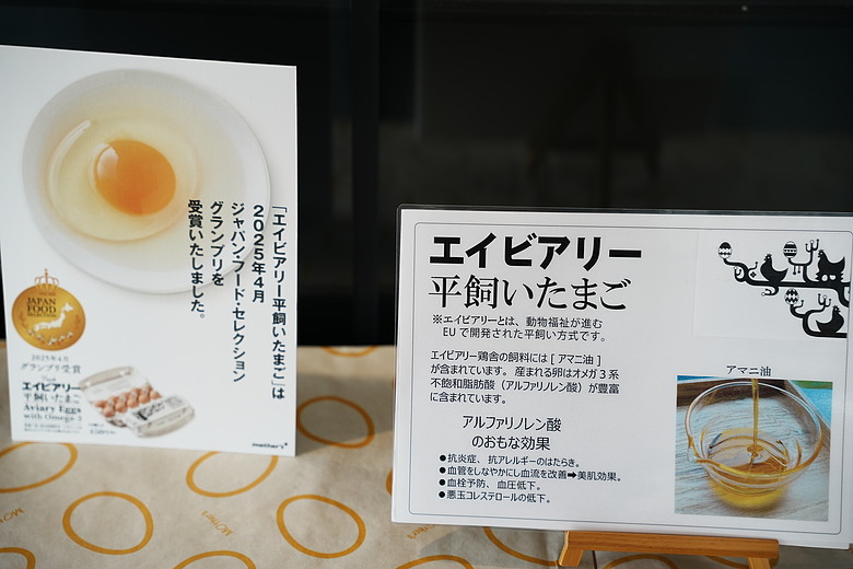 2026 北海道12天小蜜月 (下)『白老町隱藏景點、洞爺湖奢華湖景飯店 & 函館百萬夜景』