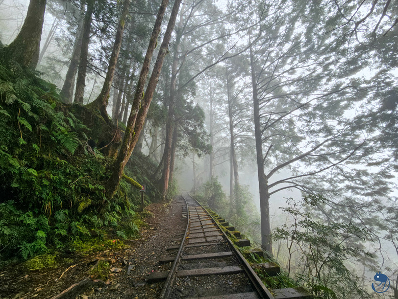 宜蘭-大同|*煙嵐雲岫* 太平山快閃之旅