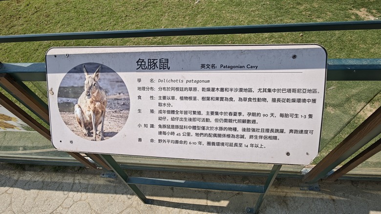 （號稱）亞洲最大鳥類動物園 - 九九峰動物樂園一日遊記 -