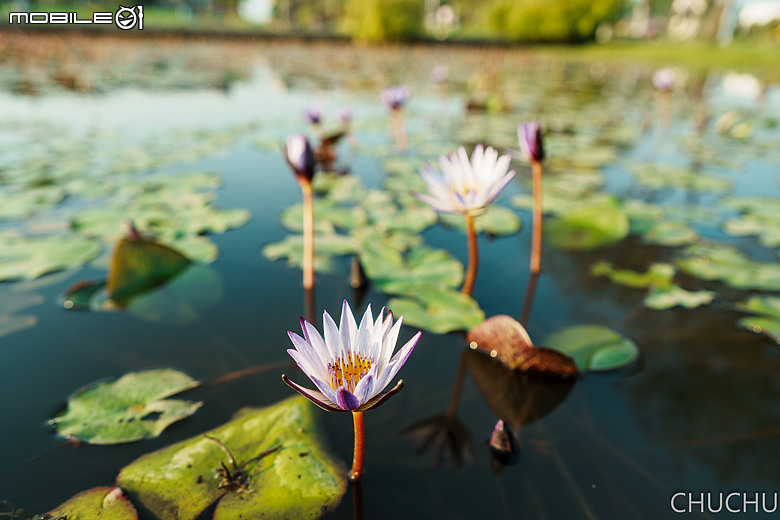 Sony A7C2 與 ZEISS Batis 2/25 的全家出遊記