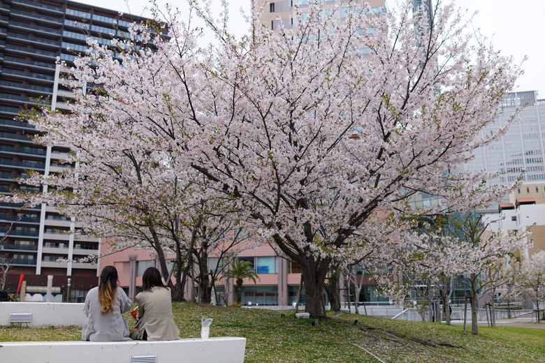 [分享]-Sony RX1R之一代、二代使用心得