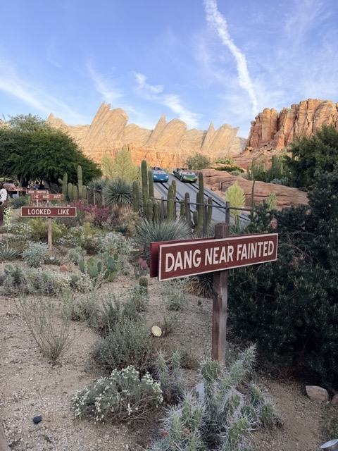 (2026 April) 🇺🇸 🏰 卅五年之後 再遊 狄斯耐樂園 Disneyland 🇺🇸👸🏻