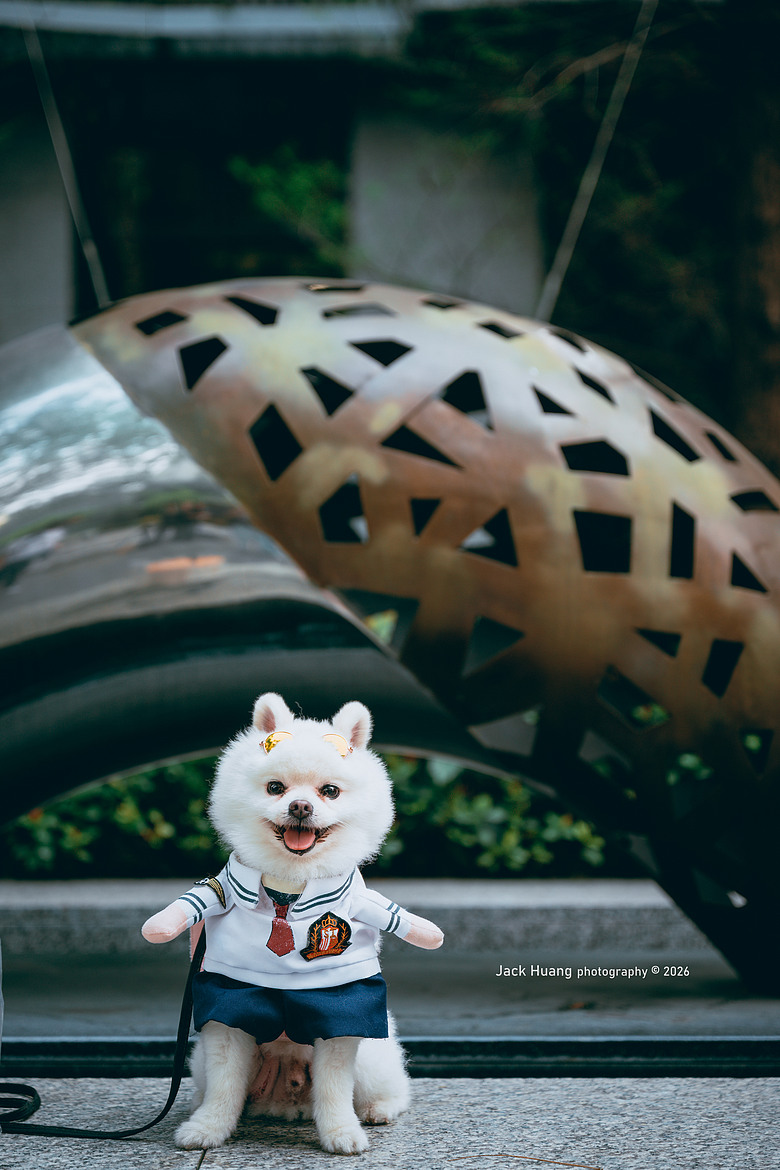 台中西區丨老市場與新創聚落的拾光紀行