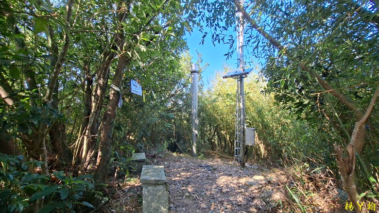 【郊山走走】輕鬆健行內湖7連峰、再賞大湖公園落羽松