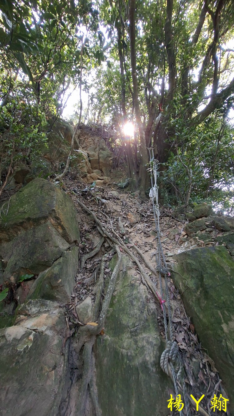 【郊山走走】輕鬆健行內湖7連峰、再賞大湖公園落羽松
