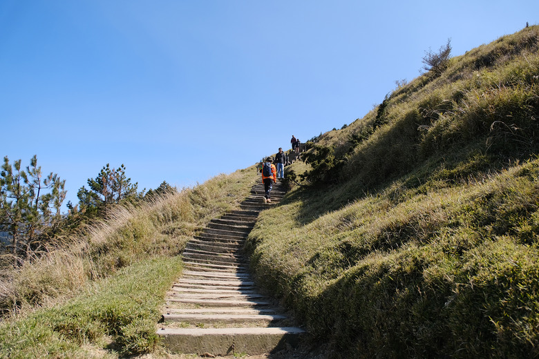 【合歡山東峰】絕美的登山步道與高山杜鵑花
