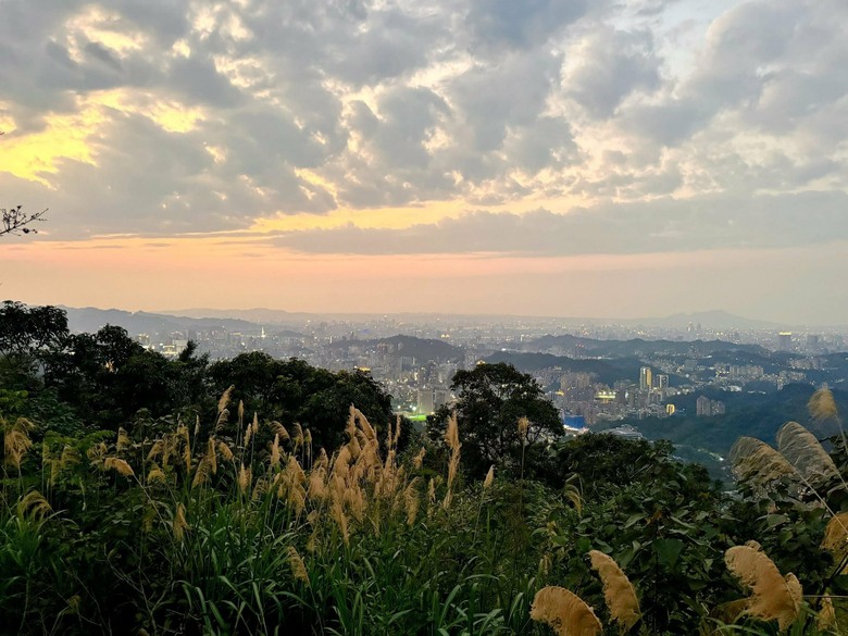 貓空之旅|在指南宮遇見櫻花與夜景的療癒時光
