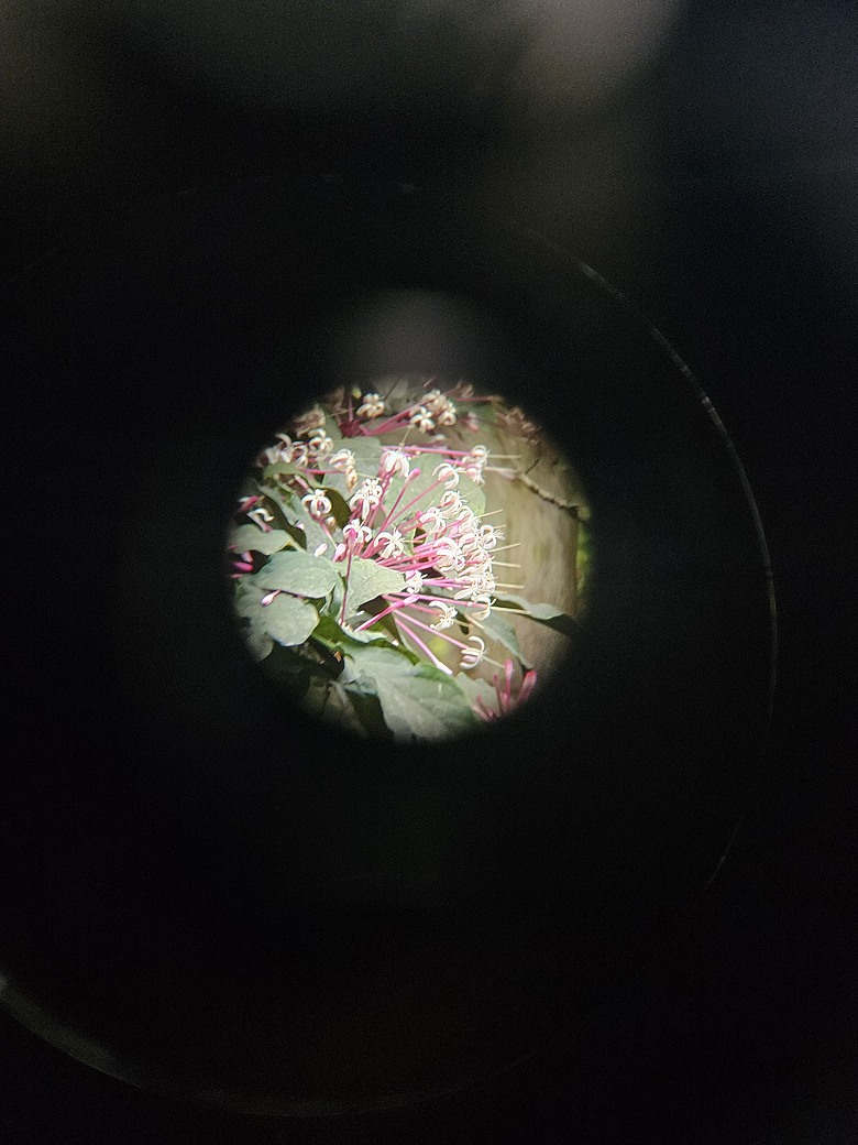 輕裝出發！帶上 ZEISS Victory Pocket 雙筒望遠鏡，漫遊小坑溪文學步道 順道拜小坑福德宮土地公跟武財神