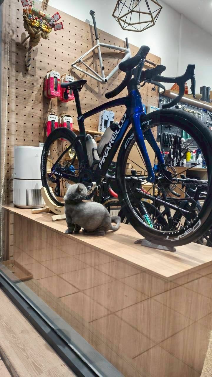 開箱 PINARELLO DOGMA F 2026