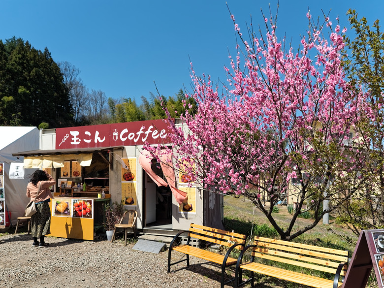 日本東北賞櫻六日遊(omsystem OM3+OM1II)