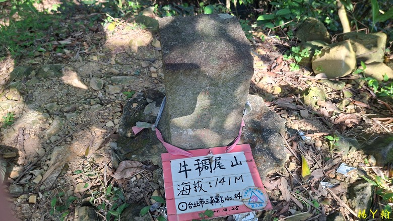 【郊山走走】輕鬆健行內湖7連峰、再賞大湖公園落羽松