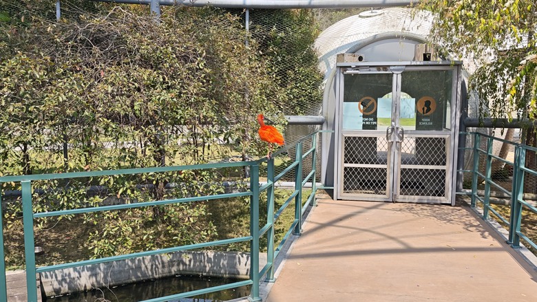 （號稱）亞洲最大鳥類動物園 - 九九峰動物樂園一日遊記 -