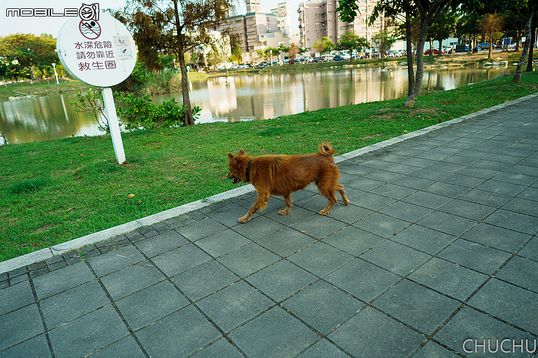 Sony A7C2 與 ZEISS Batis 2/25 的全家出遊記