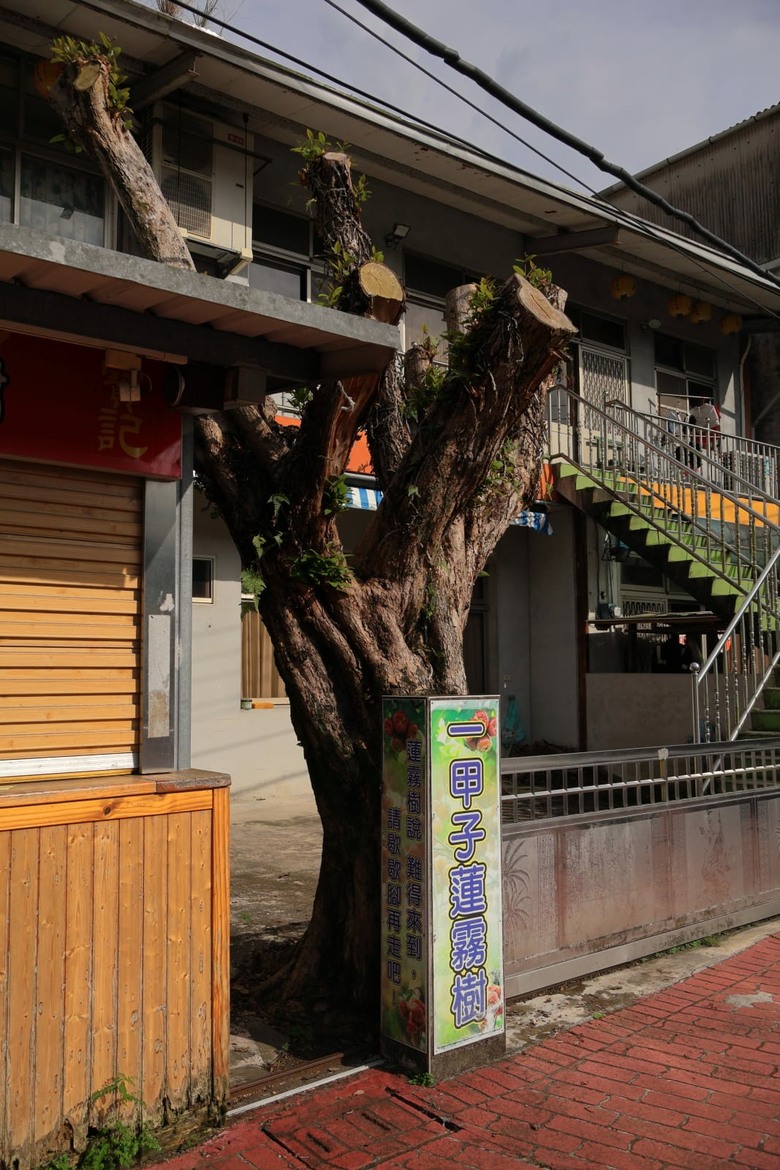 點我看大圖 【遊記】在台灣逛過了許多「老街」,所以這次要出國逛「老街」,南庄老街、十三間老街 - 大漠國渡
