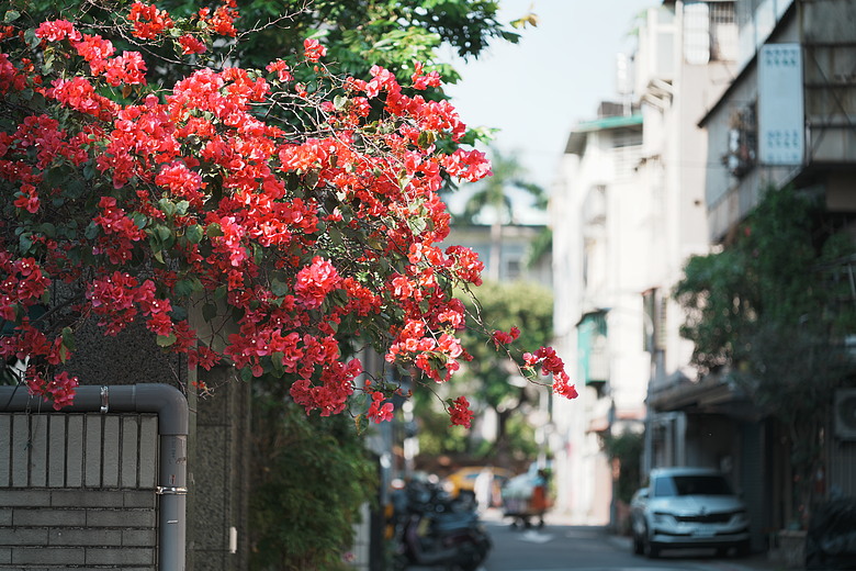 點我看大圖 Tamron 35-100mm F2.8 DiIII VXD(A078)評測報告|極致輕量化之作、「人像/旅遊」通吃的全能之選!