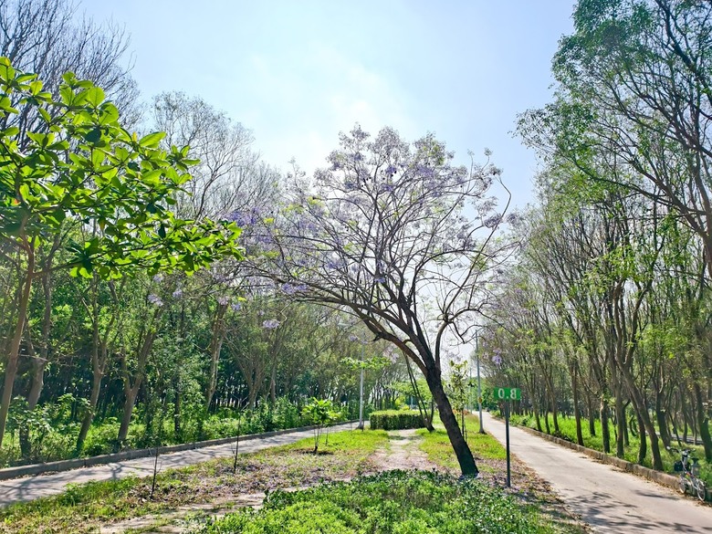 田中太保|大林→嘉油→保鹿 Bike way|騎小布縱貫線漫遊四縣市