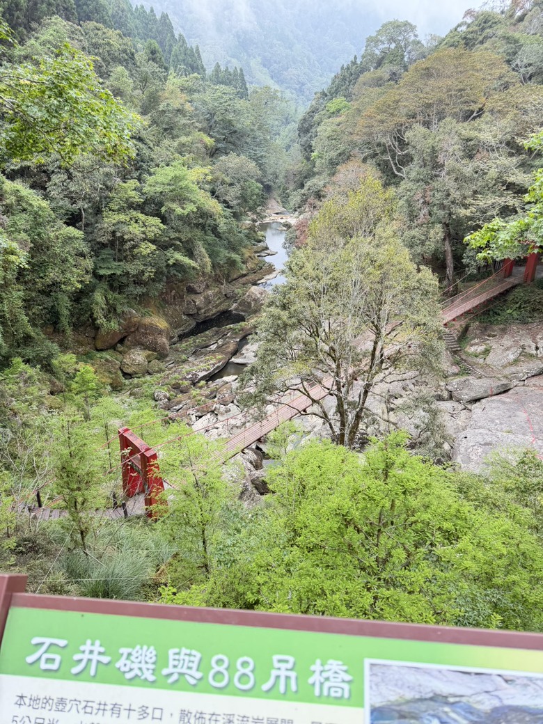 原本小失望,最後卻很喜歡|杉林溪5小時12公里慢走紀錄