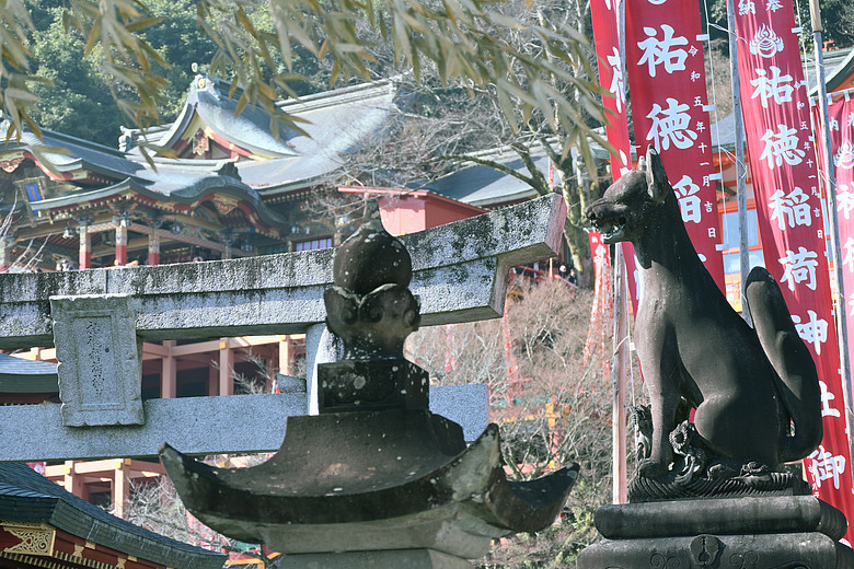 水晶婚快閃西九州之旅-以及突然的歐運!「z50ii」