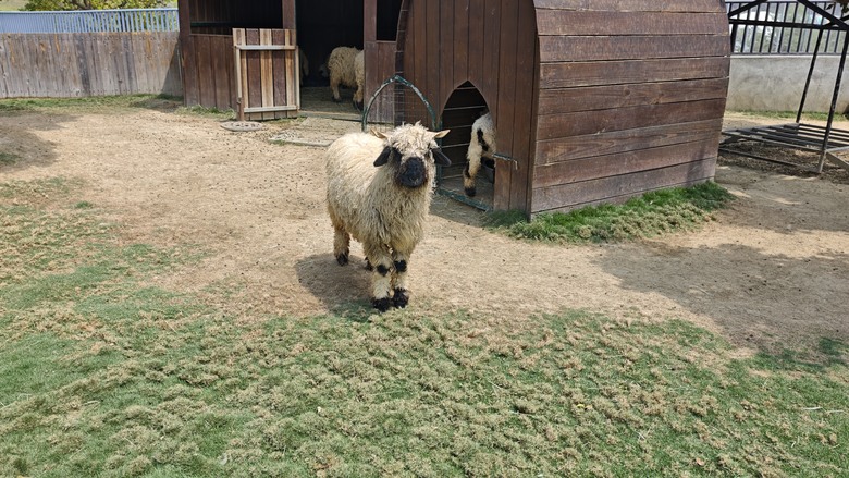 （號稱）亞洲最大鳥類動物園 - 九九峰動物樂園一日遊記 -