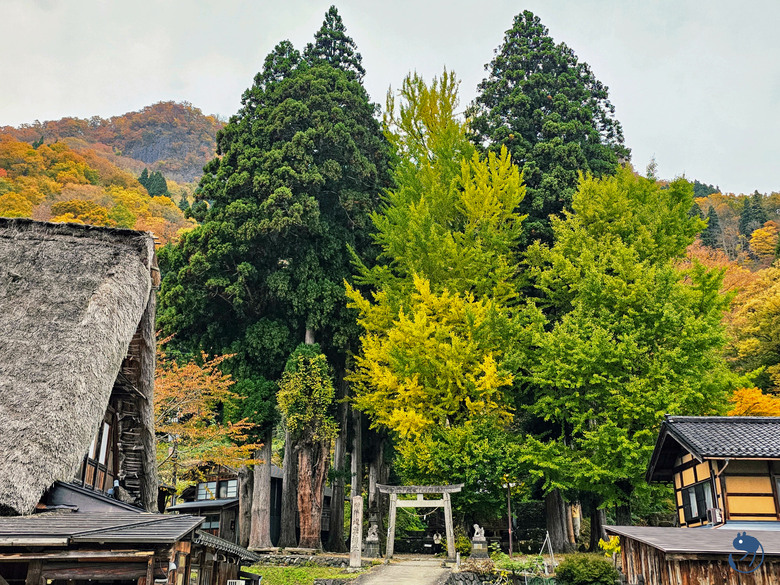 日本-富山南礪|*深山中的世外桃源* 越中五箇山相倉合掌村 相倉合掌造り集落