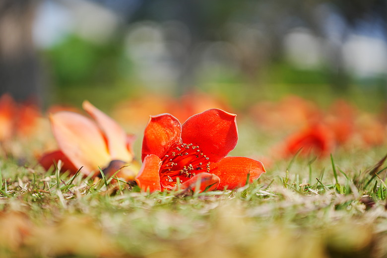 點我看大圖 Tamron 35-100mm F2.8 DiIII VXD(A078)評測報告|極致輕量化之作、「人像/旅遊」通吃的全能之選!