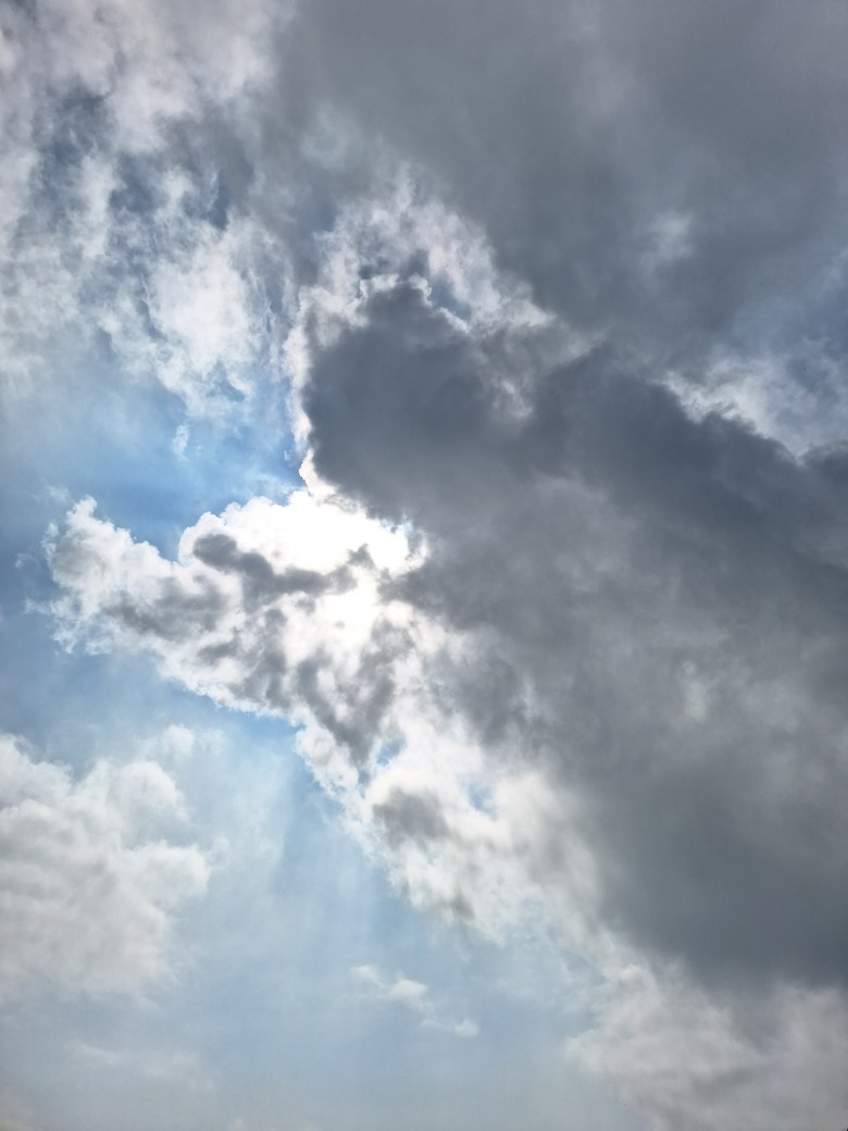 雲想衣裳花想容