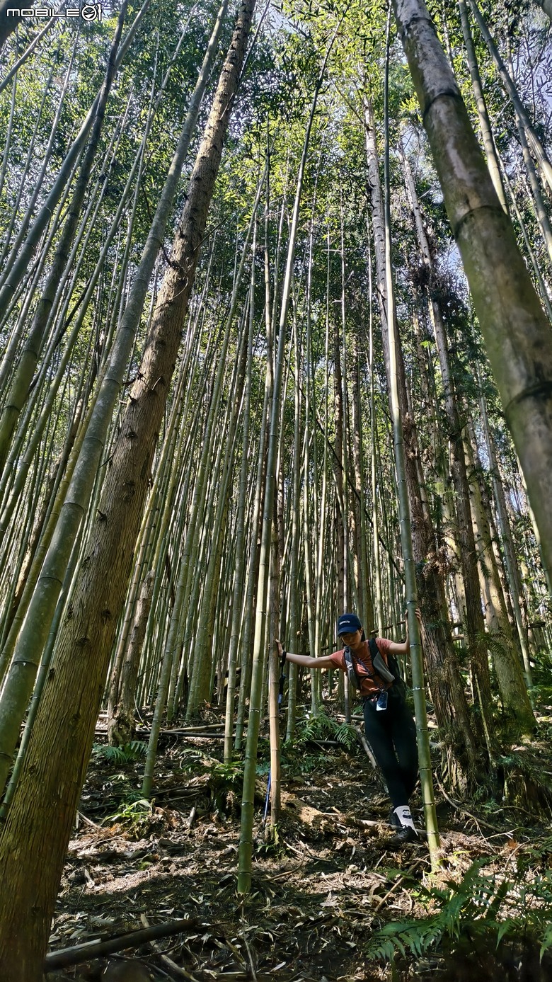 新竹冷門登山路線 | 滿滿竹林 |鬼澤山