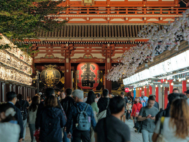 日本東北賞櫻六日遊(omsystem OM3+OM1II)