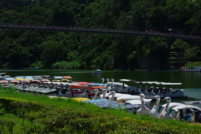 DFA 50mm f2.8 拍的一些照片