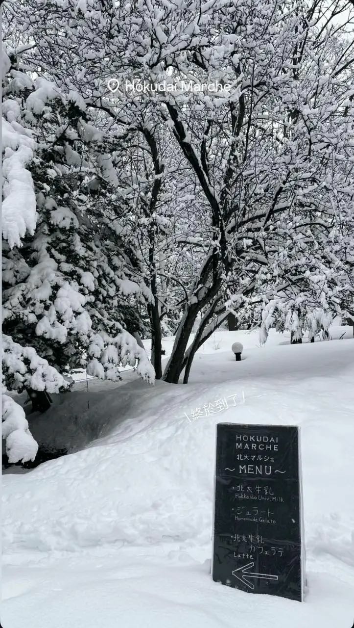 北海道大學雪景街道